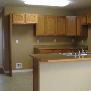 green-wood-cabinet-kitchen